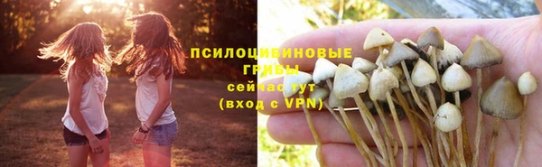 мдпв Иноземцево