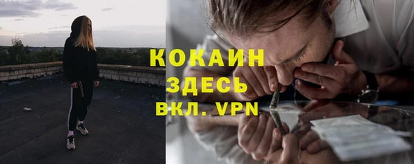 бошки Алзамай