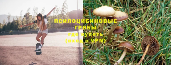 бошки Алексеевка
