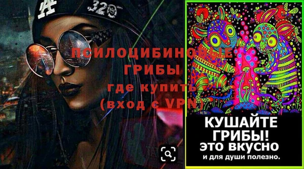 бошки Алексеевка