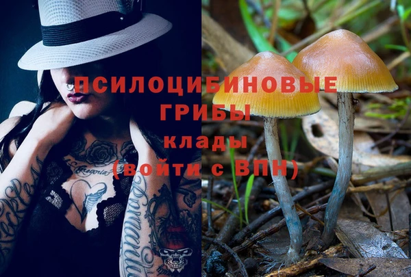 бошки Алексеевка