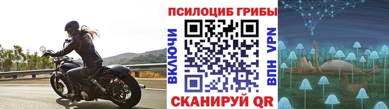 blacksprut зеркало  Нефтекамск  Галлюциногенные грибы мицелий 